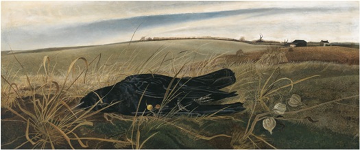 Wyeth Fields1.jpg